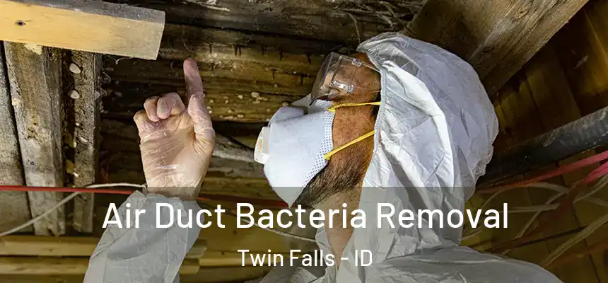  Air Duct Bacteria Removal Twin Falls - ID