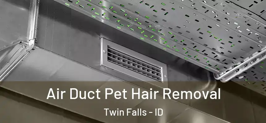  Air Duct Pet Hair Removal Twin Falls - ID