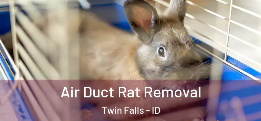  Air Duct Rat Removal Twin Falls - ID
