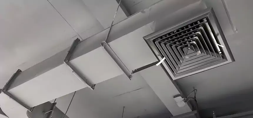 Restorative Allergy Relief Vent Cleaning – Coil, Blower & Housing Detail in Twin Falls