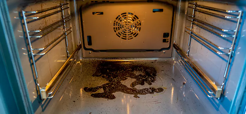 Our Dryer Vent Mold Cleaning Services in Twin Falls, ID