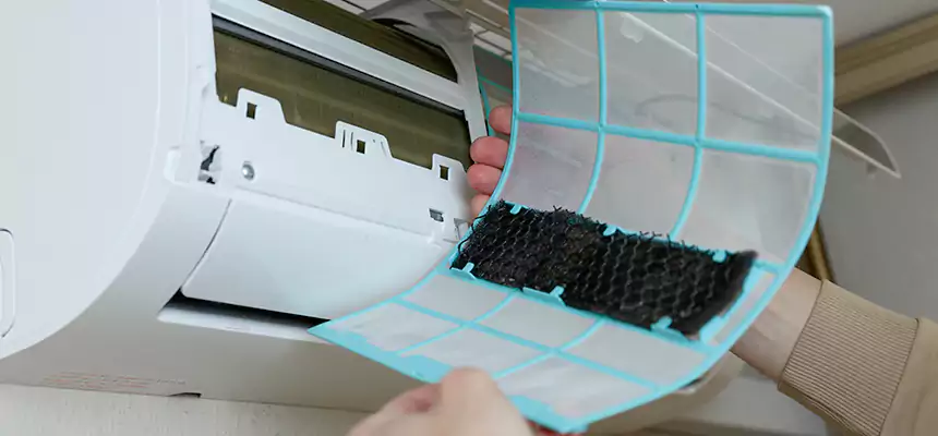 Gentle Ductwork Odor-Control Pet Dander Duct Cleaning in Twin Falls, ID