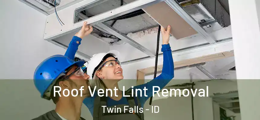  Roof Vent Lint Removal Twin Falls - ID