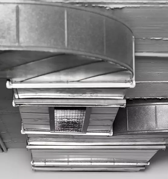 Professional Air Duct Pest Removal in Twin Falls, ID