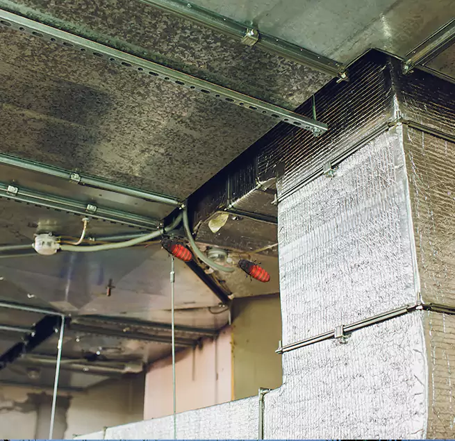 Why Homeowners & Businesses Trust Us in Twin Falls, ID?